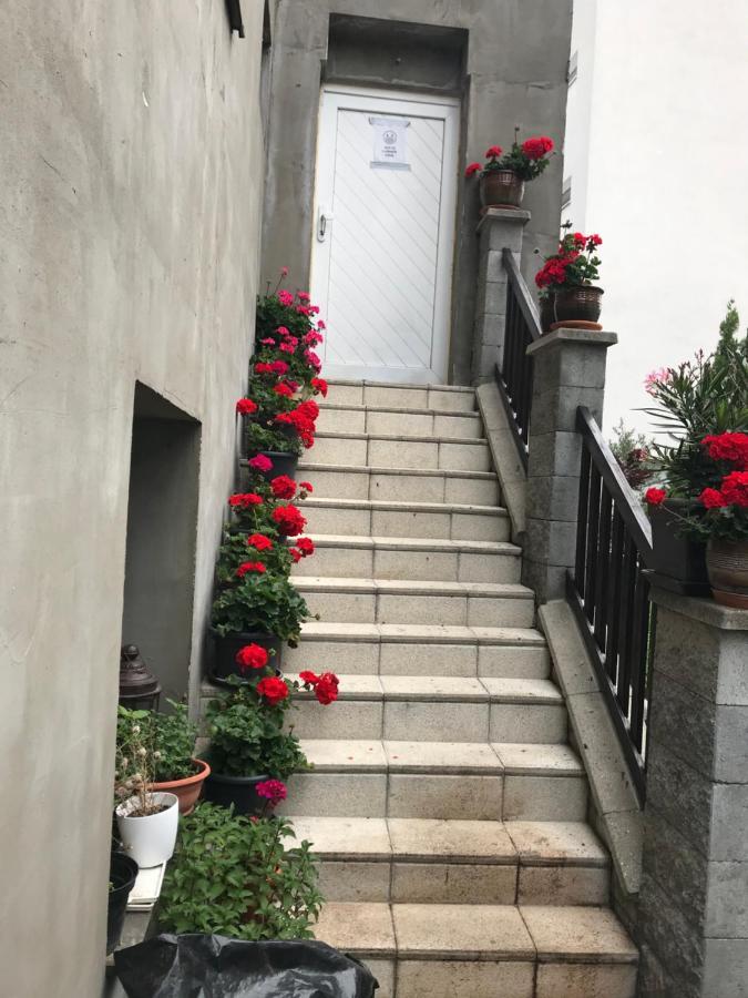 Penzion Vilo Bratislava Dış mekan fotoğraf